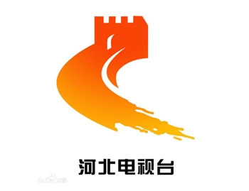 【河北省電視臺(tái)】和【協(xié)作促進(jìn)會(huì)】鄭會(huì)長來公司考察