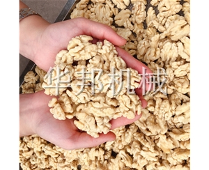 核桃仁脫皮機(jī) 華邦機(jī)械全自動核桃仁去衣流水線