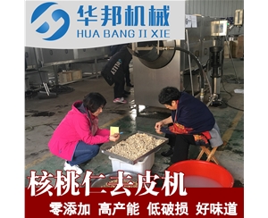 核桃仁去皮機 高壓循環(huán)水泵清洗機  脫皮機廠家