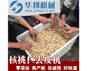 廠家直銷核桃仁去皮機  物理零堿脫皮機器