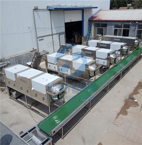 質(zhì)保12個(gè)月核桃仁去皮機(jī)