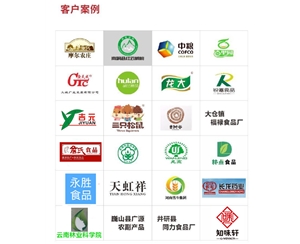免費上門安裝 核桃仁去皮機(jī)