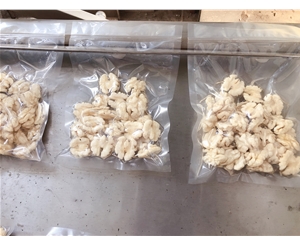 壓力可調(diào)清水核桃仁脫皮機 核桃仁去皮設(shè)備