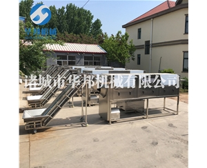 新疆大型核桃仁去皮流水線 廠方設(shè)計