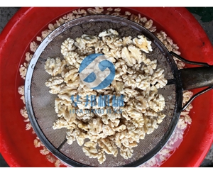 品種無限制都在用的核桃仁脫皮 華邦機(jī)械