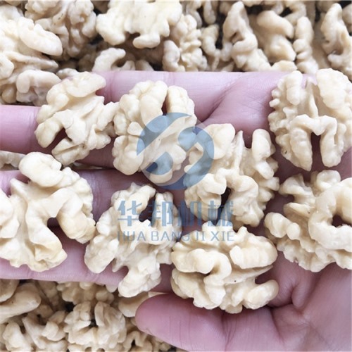 【熱賣(mài)】核桃仁去皮機(jī)