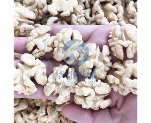 現貨 核桃仁去皮機