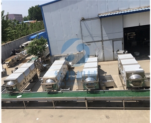 核桃仁去皮機(jī) （核桃仁脫皮機(jī)）