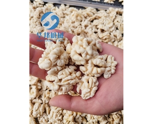 核桃仁脫皮機(jī) 核桃仁去皮清洗機(jī)