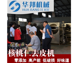 免費(fèi)試用 核桃仁去皮機(jī)