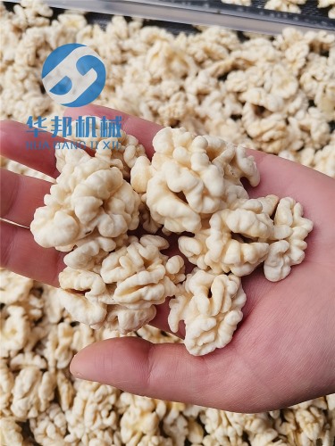 華邦機械/核桃仁去皮機/去皮核桃仁設(shè)備