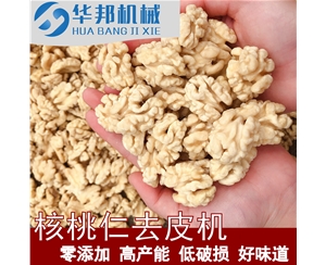 風味核桃仁設備 華邦核桃仁去皮機 苦澀薄衣去除