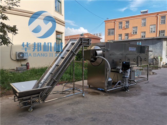 自動(dòng)上料 核桃仁去皮機(jī) 產(chǎn)量大省人工