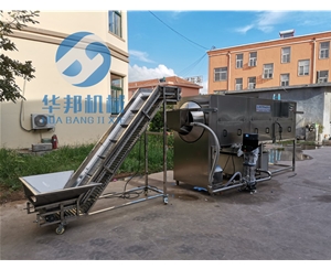 自動上料 核桃仁去皮機 產(chǎn)量大省人工