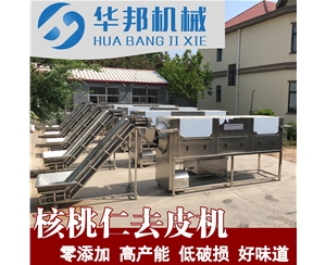 核桃仁去皮機(jī) 核桃仁脫衣生產(chǎn)線(xiàn)