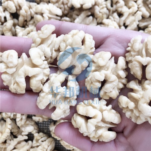 現(xiàn)貨 核桃仁去皮機(jī)