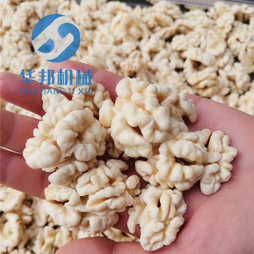 核桃仁加工設(shè)備 節(jié)水核桃仁去皮機