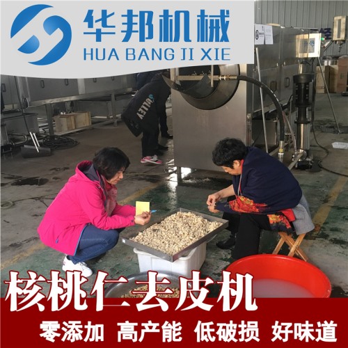 大型核桃仁去皮機 核桃仁去衣清洗機 優(yōu)惠供應